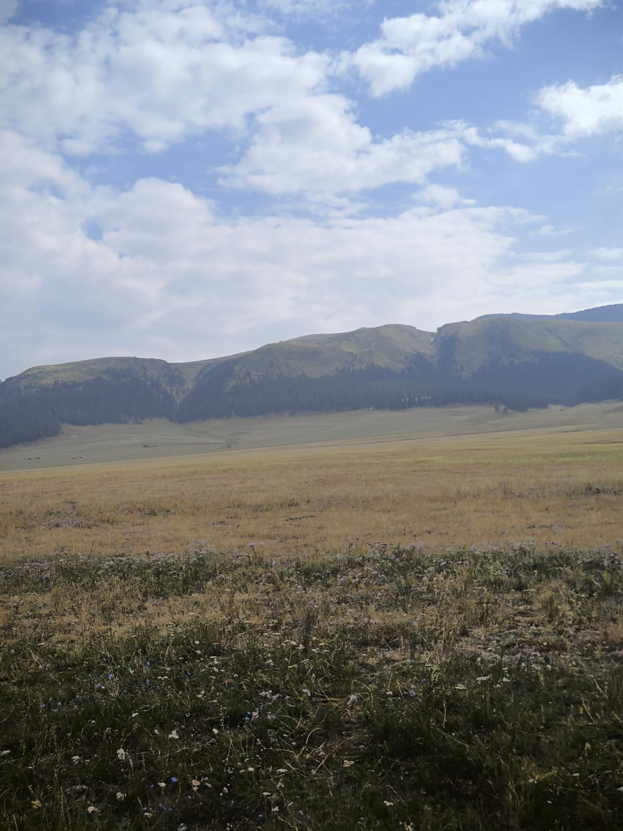 早上在车上掉眼泪了，一个中年女人，40+，本来是平常的不能再平常的早晨，发现手有