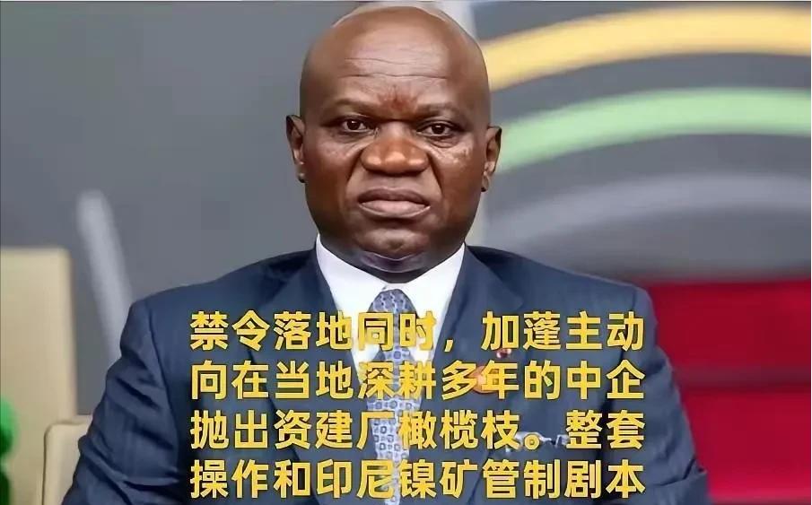 有样学样，加蓬小国效仿印尼，叫停锰矿出口，逼着中方去建厂

西非小国加蓬明明白白