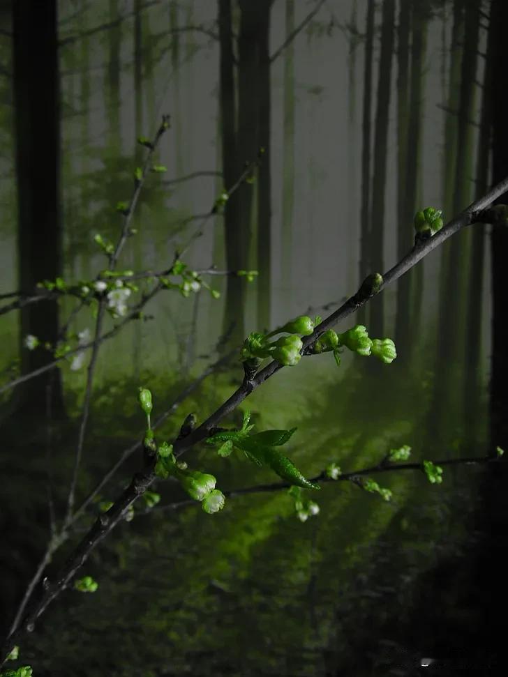 东坡引 · 别周诚可

作者：赵师侠

相看情未足。离觞已催促。停歌欲语眉先蹙。