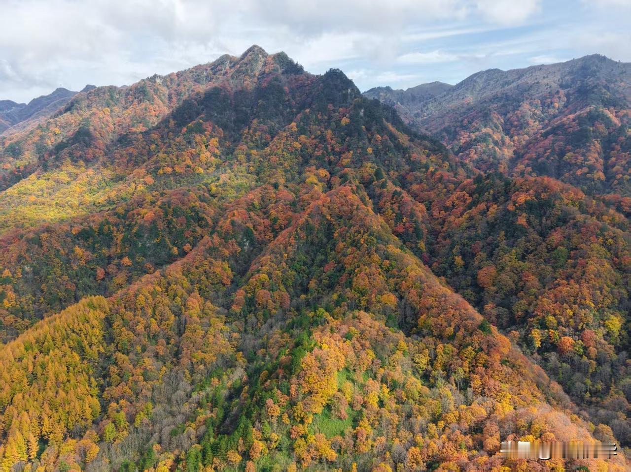 冬日生活打卡季晨光初醒时，我们的车已如舟，驶入秦岭的彩色海洋。山峦层层叠叠，像打