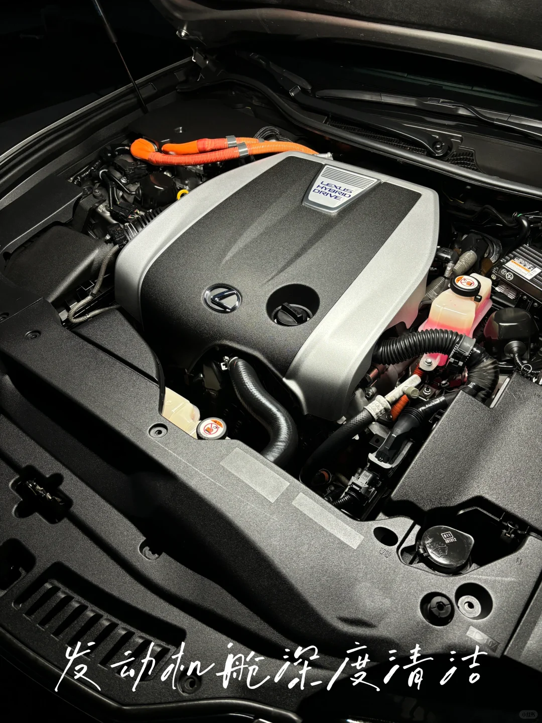 Lexus GS450 美容整备｜Part 4