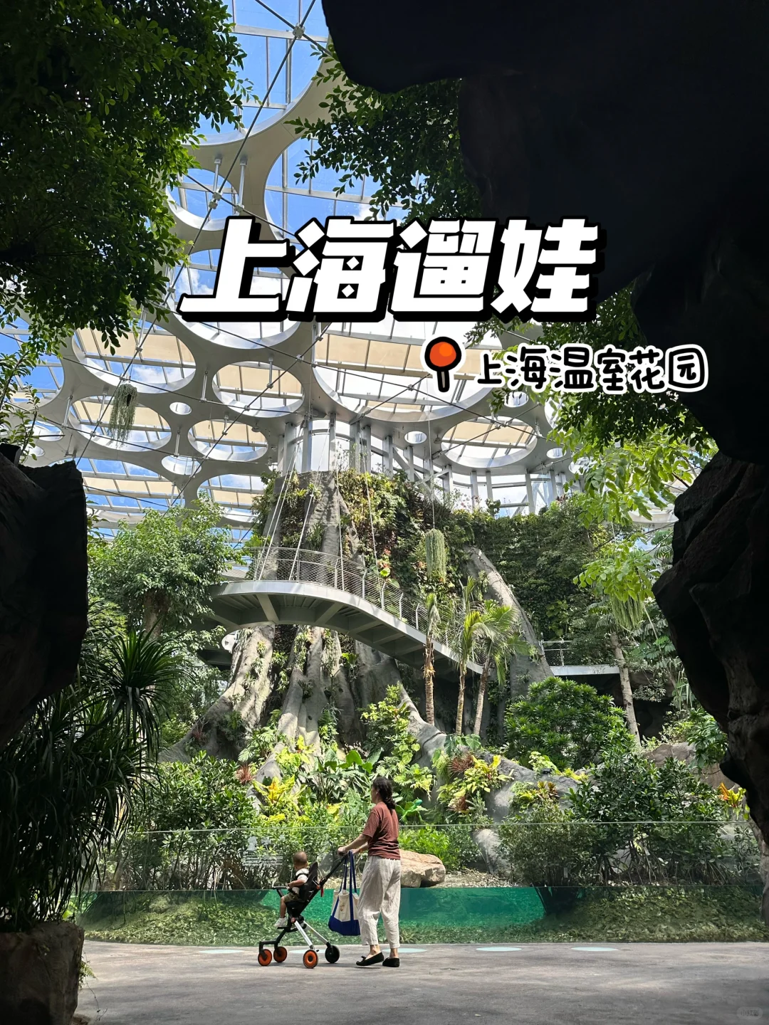 国庆慢慢玩｜魔都🌵疯狂植物城🌵提前探秘！