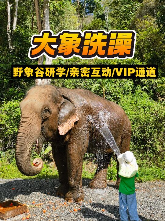 西双版纳野象谷已回｜发现很多帖子都很常规