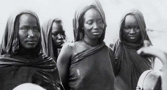 1626年后，有50万名黑人被卖到美国做黑奴，女黑奴被奴隶主性侵后，生下的孩子也