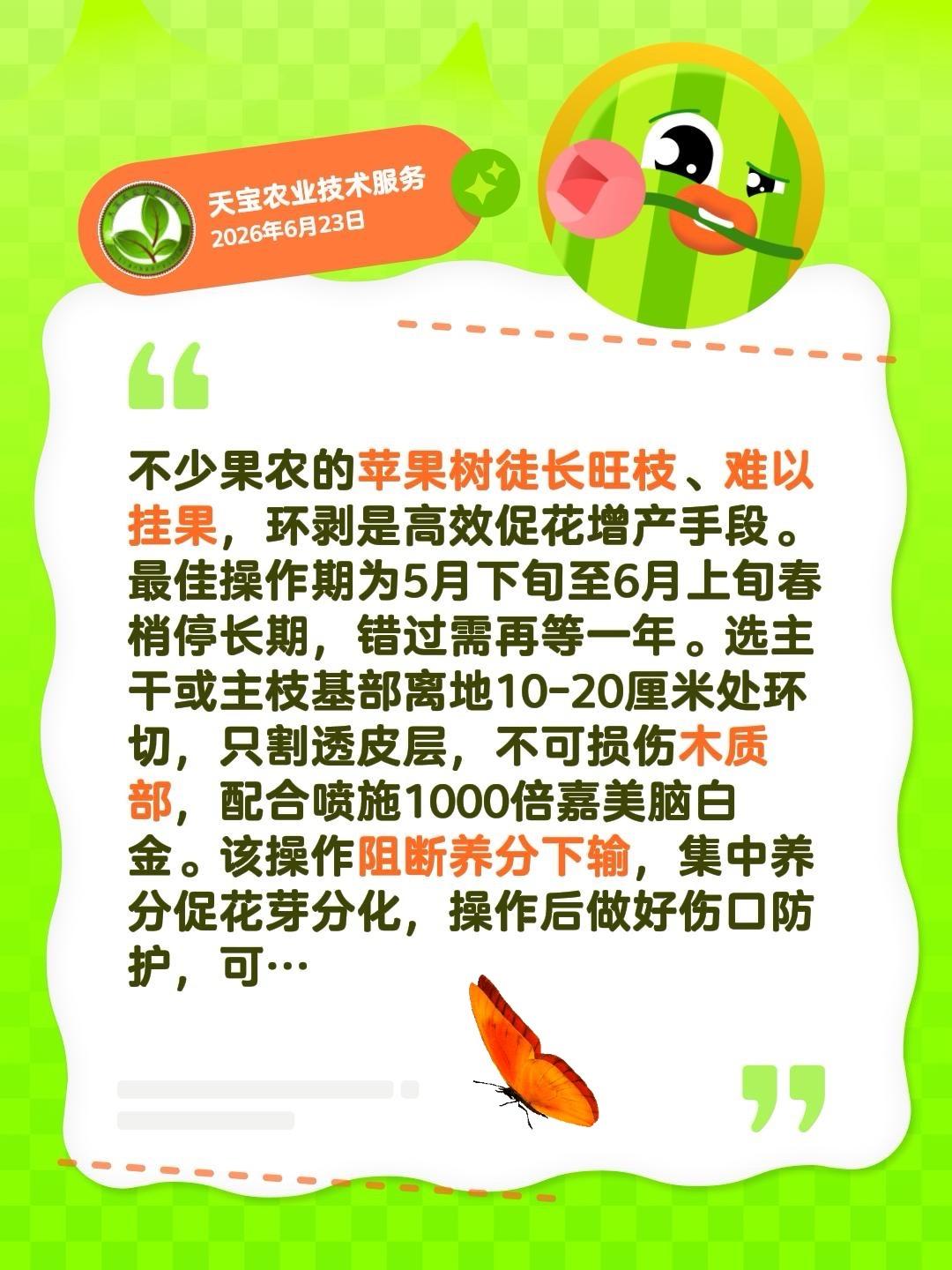 苹果树徒长结果少？这样操作快速搞定！我评论了@天宝农业技术服务 的作品：
不少果