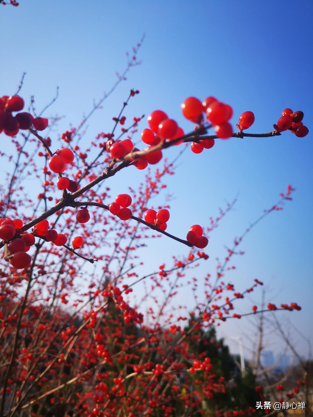 一位养生专家说：“极度自律，每天锻炼的人，大多不能长寿，但是极度自私，不为任何人