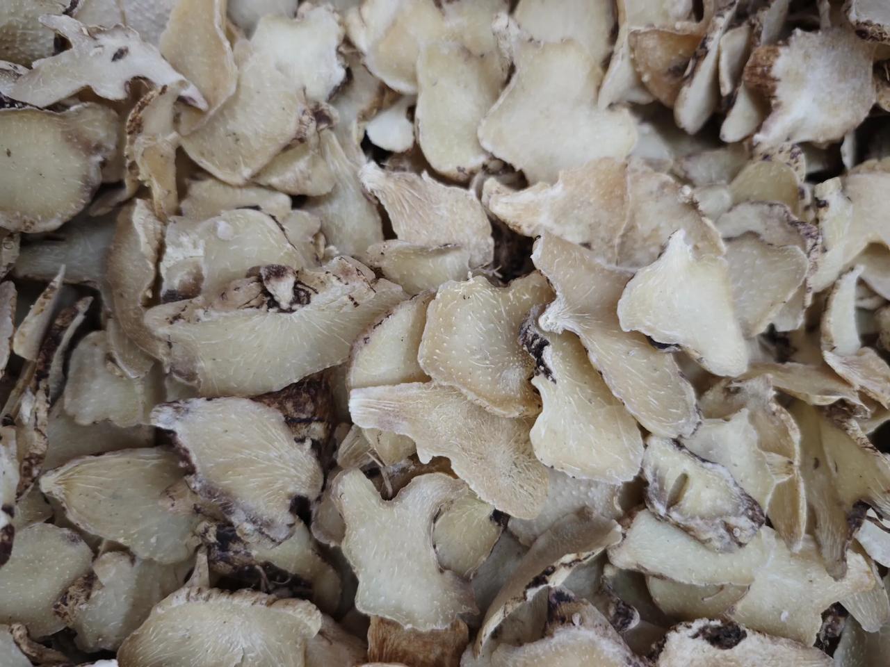 今日亳州中药材市场部分药材价格：蒲公英（全棵18）元/kg，白果13元/kg，化