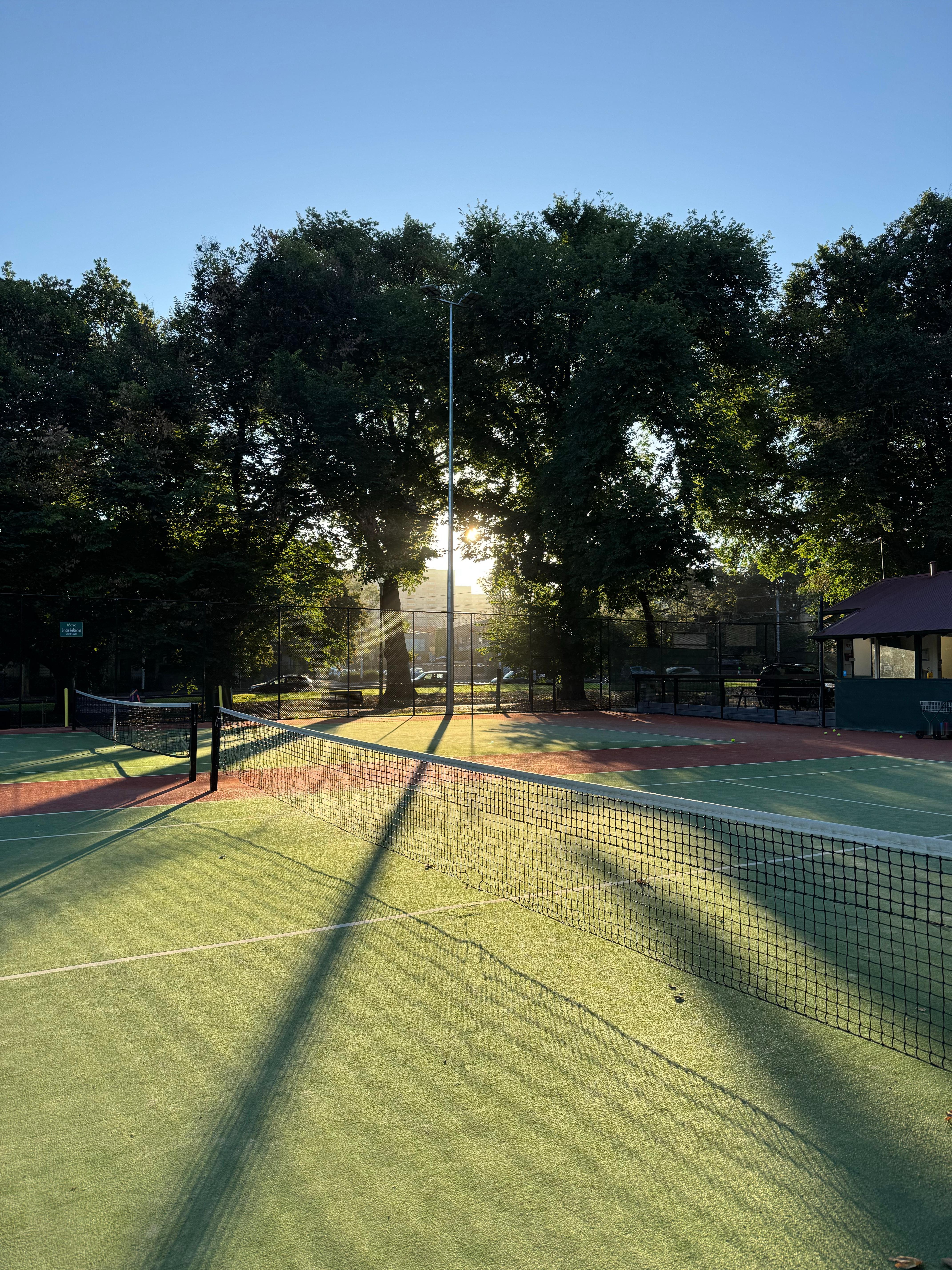 晨练～🎾被扫！🧹喜吞烧鹅美美开启新的一天🪿 网球[超话]   