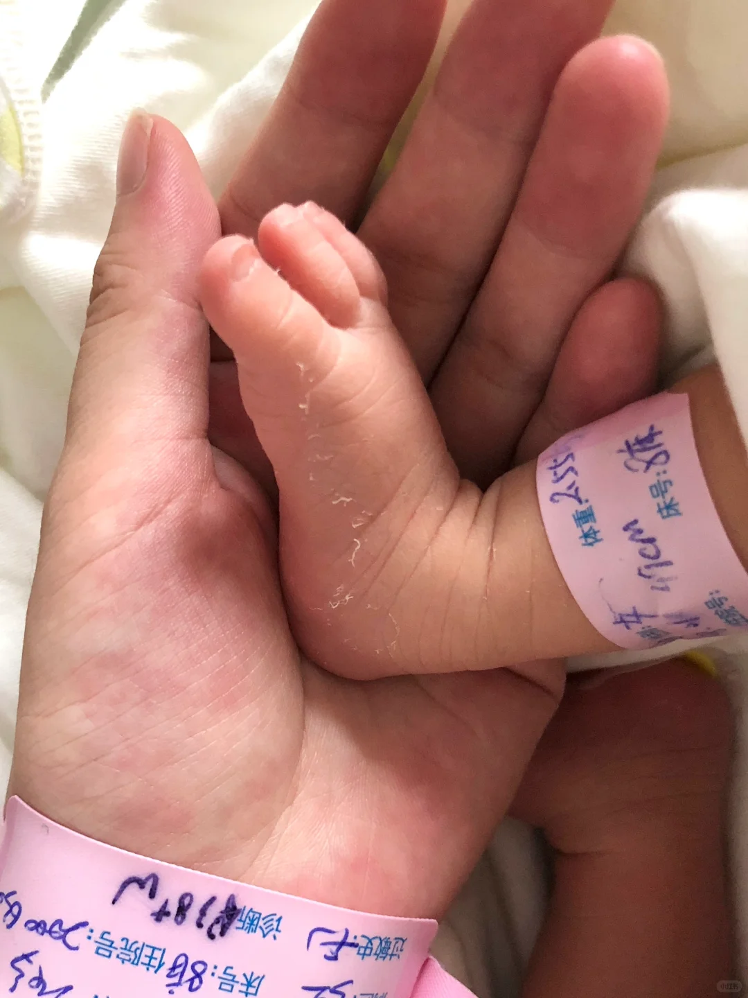 已生，想告诉没生的姐妹们！