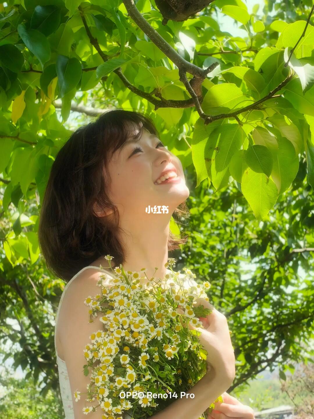夏日感live🍃我由夏天 绿色和光影构成