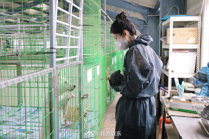 【徐贤前往流浪动物保护所开展志愿活动】徐贤表示:“在生日之际,能与最珍贵的粉丝们