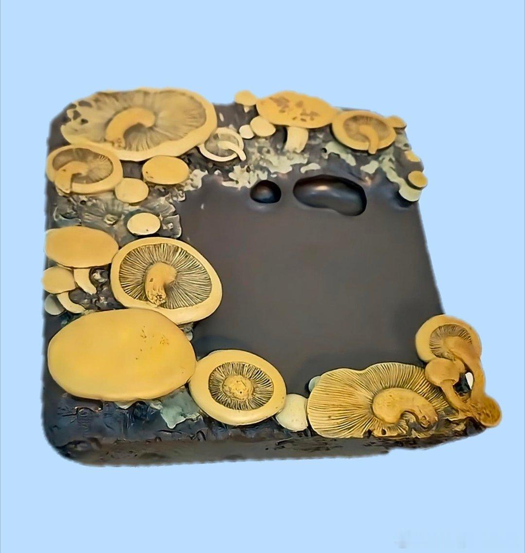 【精品展示】（二）砚台系列（6）：苴却砚❷～～曹加勇作品②。与师友们分享，一手货