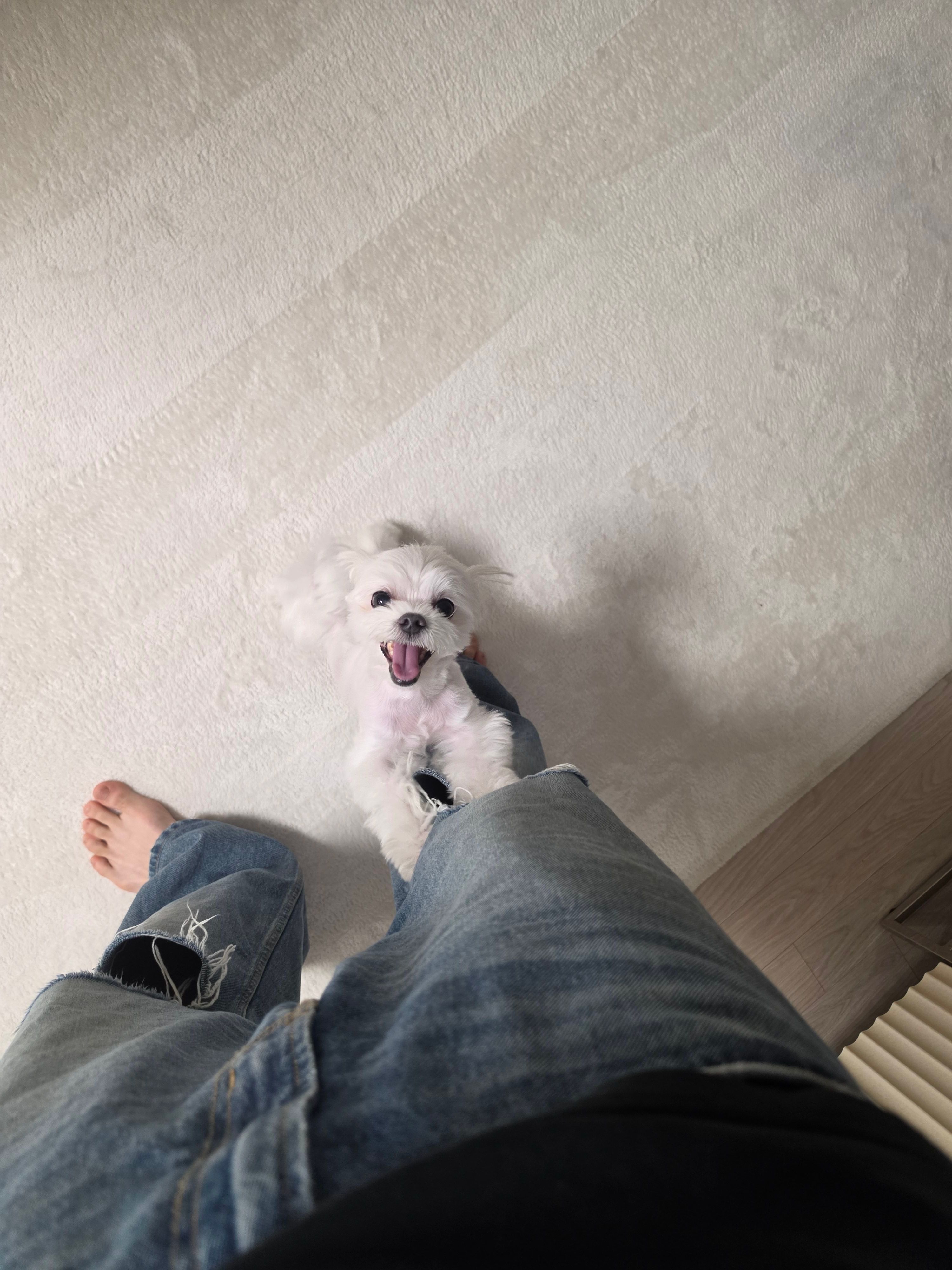 郑成灿可以拿她的玉足狠狠踹我 