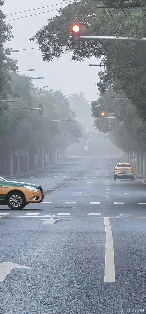 雨后的清晨摄影