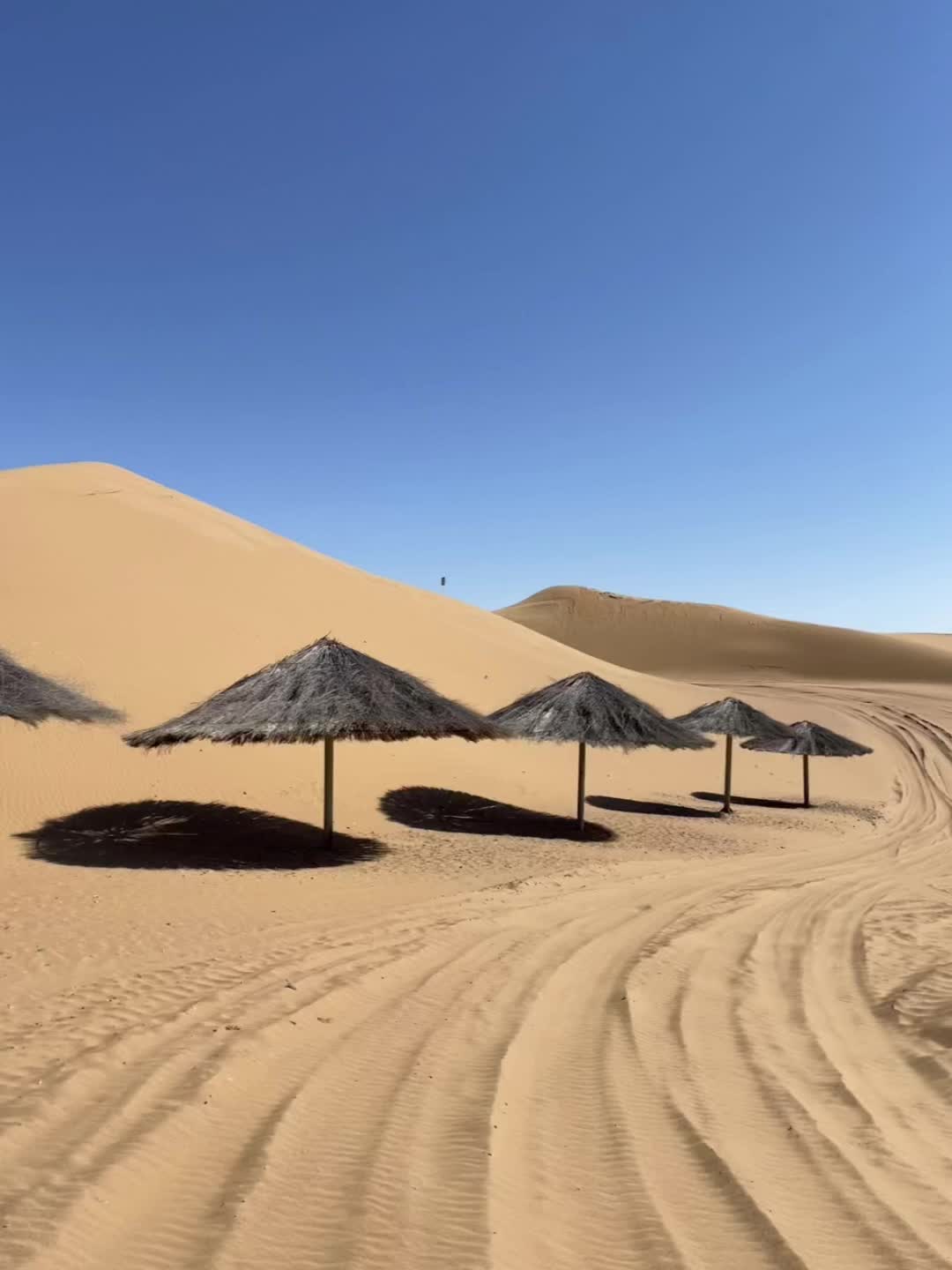 腾格里沙漠🌵