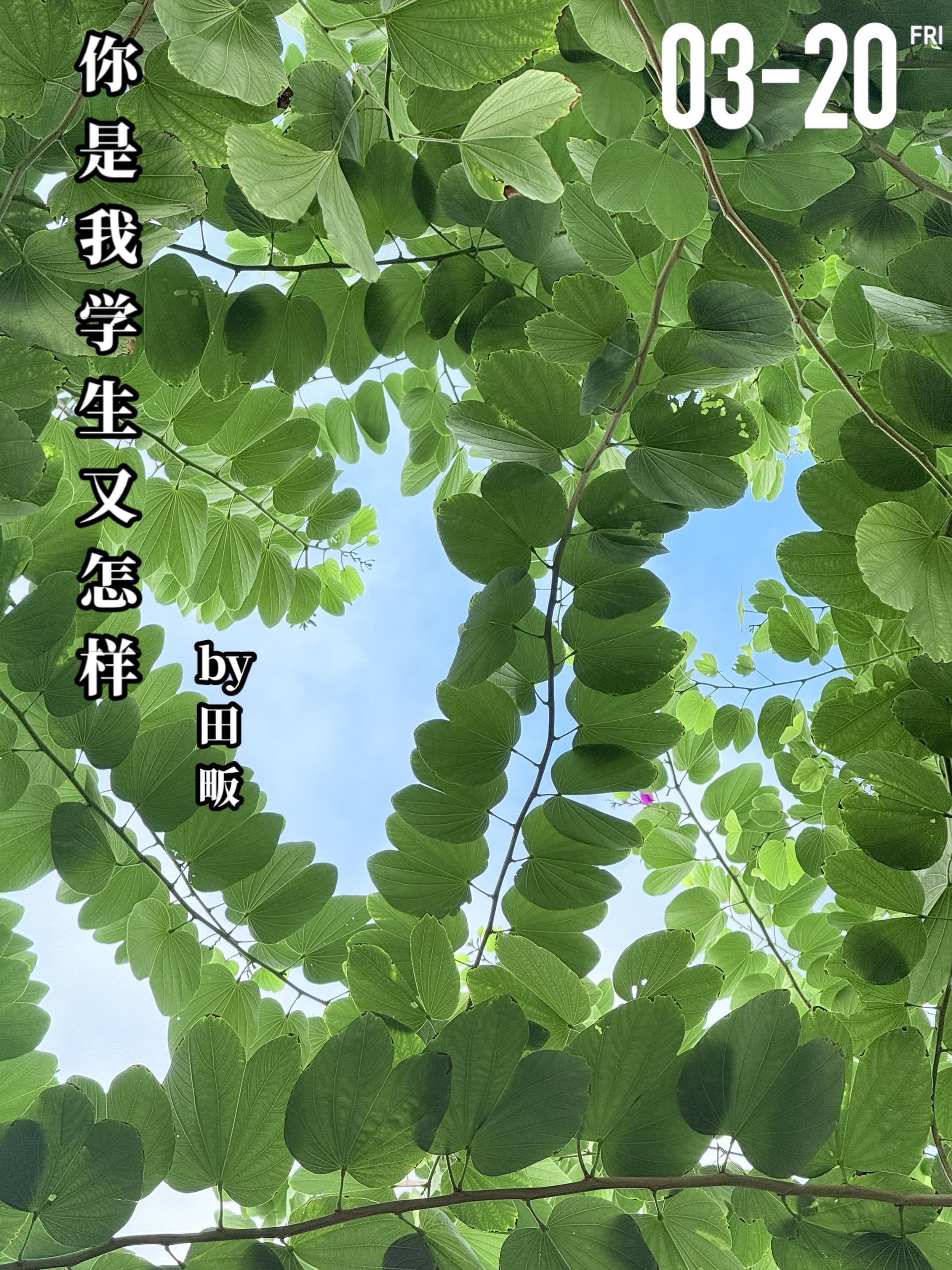 《你是我学生又怎样》by田畈。高二那年，谈书墨（男主）成了赵水光（女主...