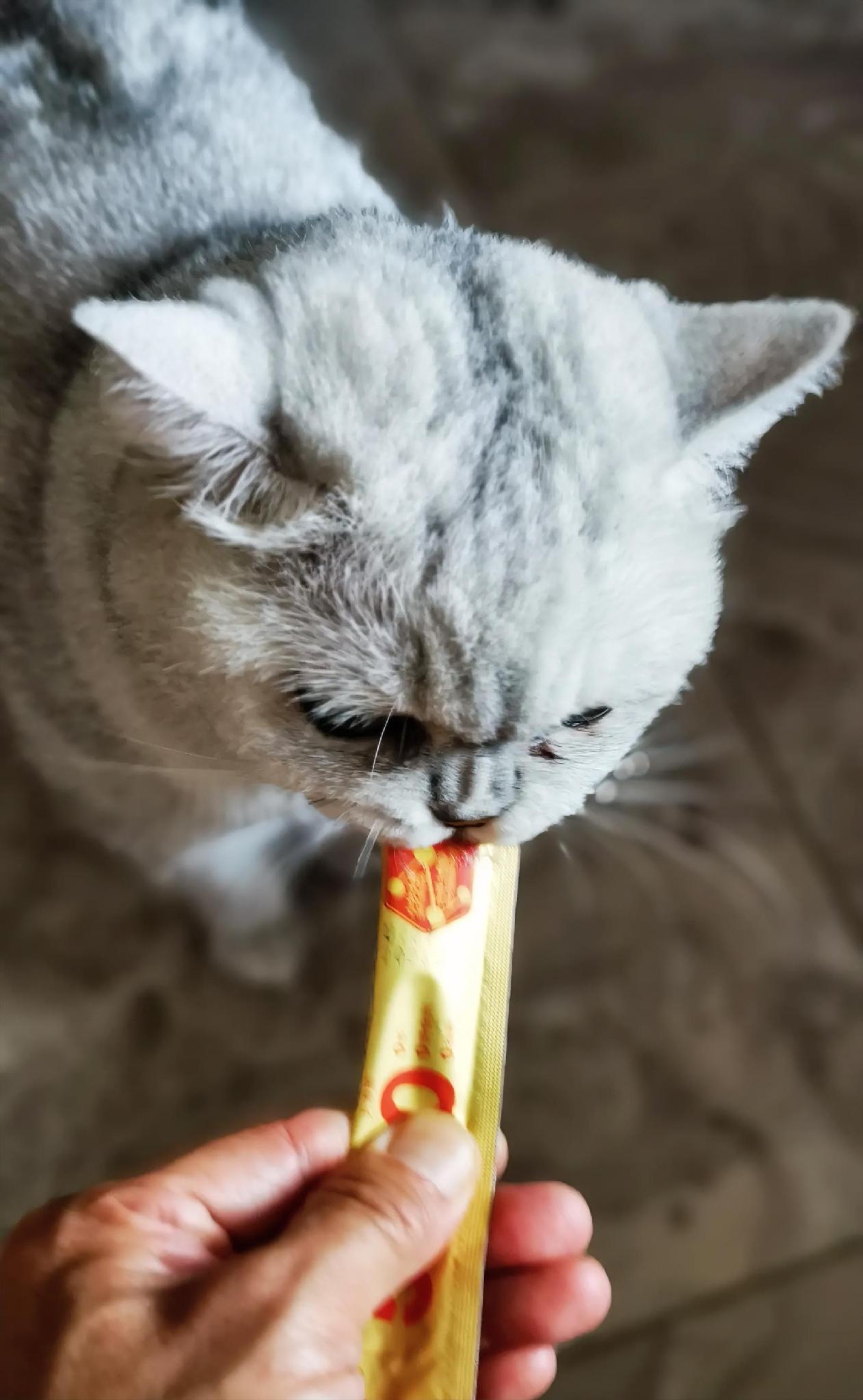 猫吃不起猫条，从营养学的角度看，不吃猫条本身就是一种健康。