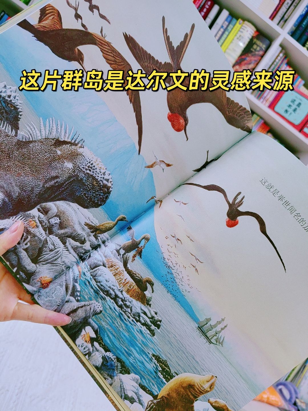 自然科普绘本  加拉帕戈斯群岛的前世今生
