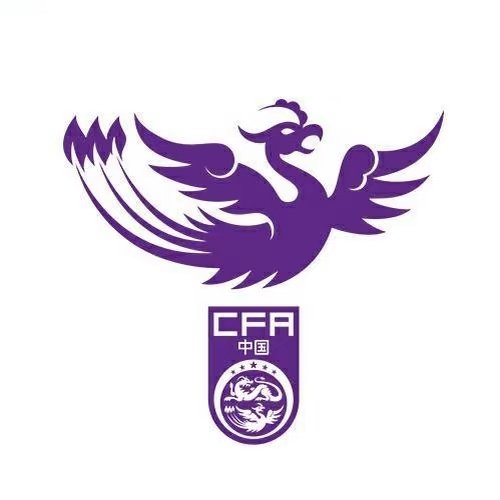 2026上海明日之星冠军杯（女足）最新通知：中国U-17女足与阿森纳U17女足的