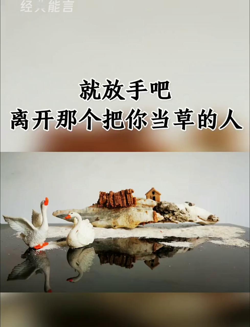 爱到极致是放手，这不是爱的退场，而是对自己的成全，是终于与执念和解的成长