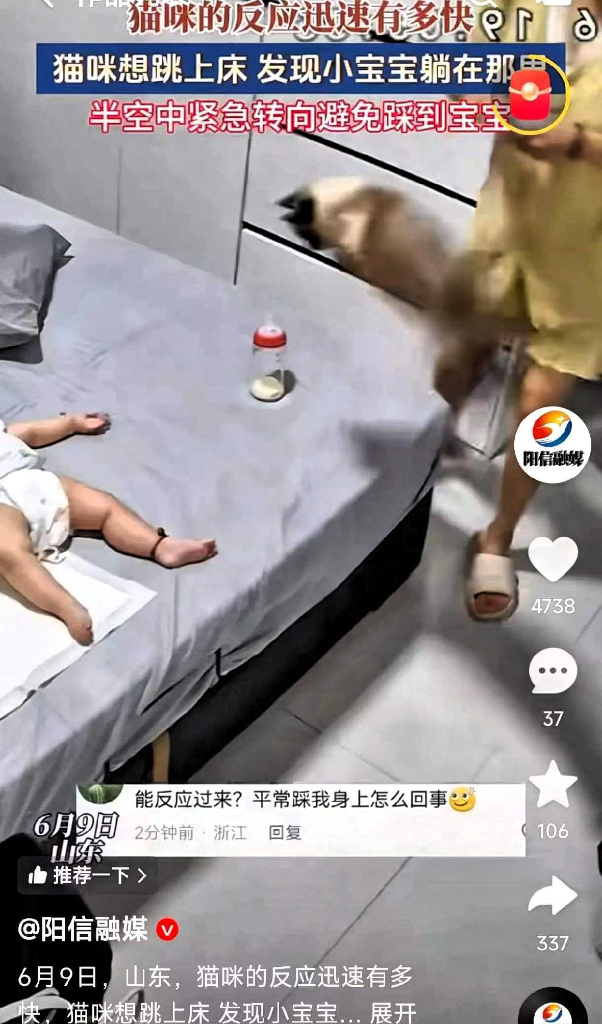 山东，一只猫咪想跳上床，腾空那一刻突然发现小主人躺在床上，硬是在半空中强行拐弯，
