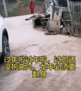 大年初二，遇见狗翻身，今年必须翻身，