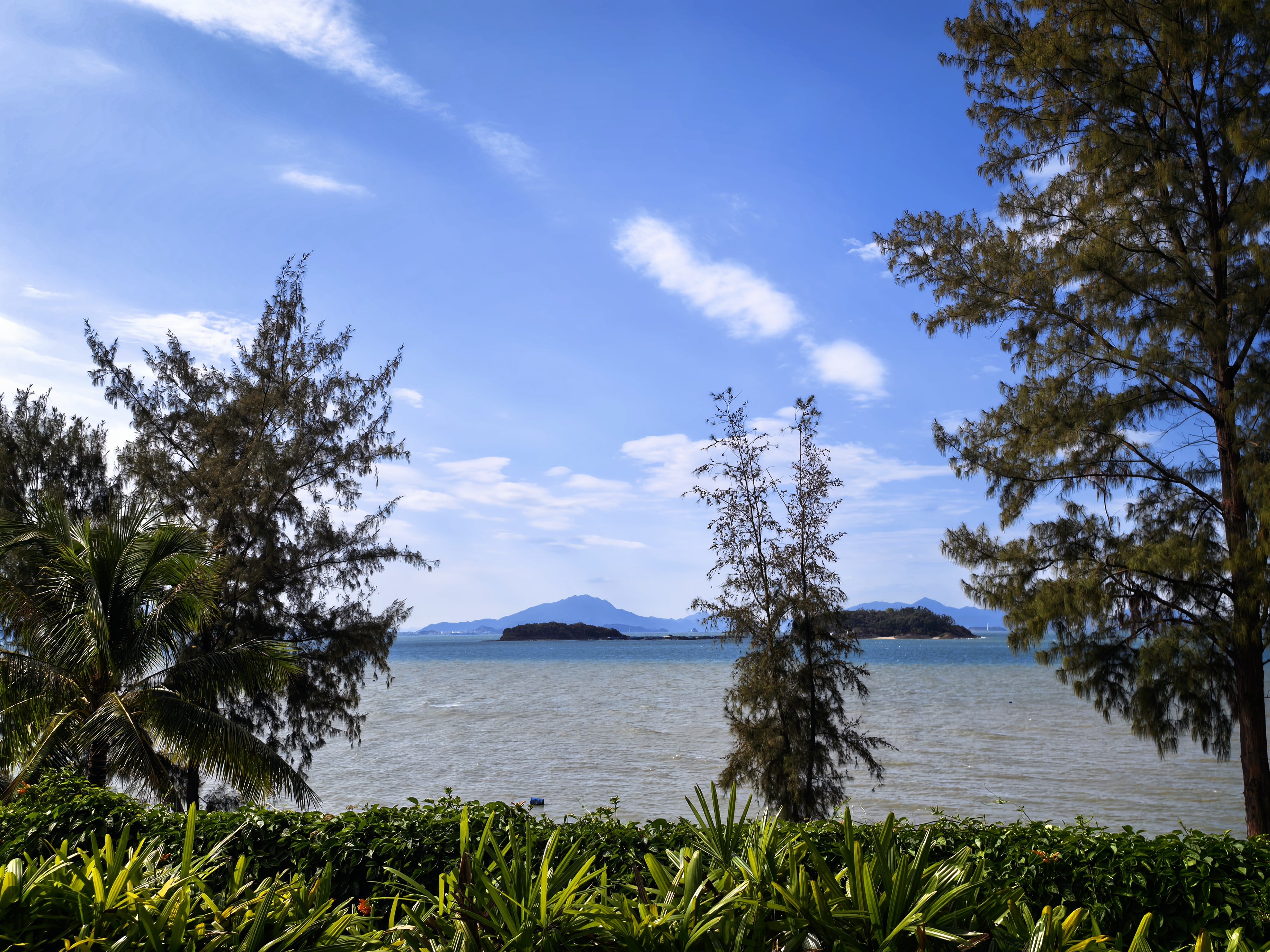 感谢X品牌在工作日也带我来海边看海车不错，汽油味不多，但是有着比汽油更长的续航里
