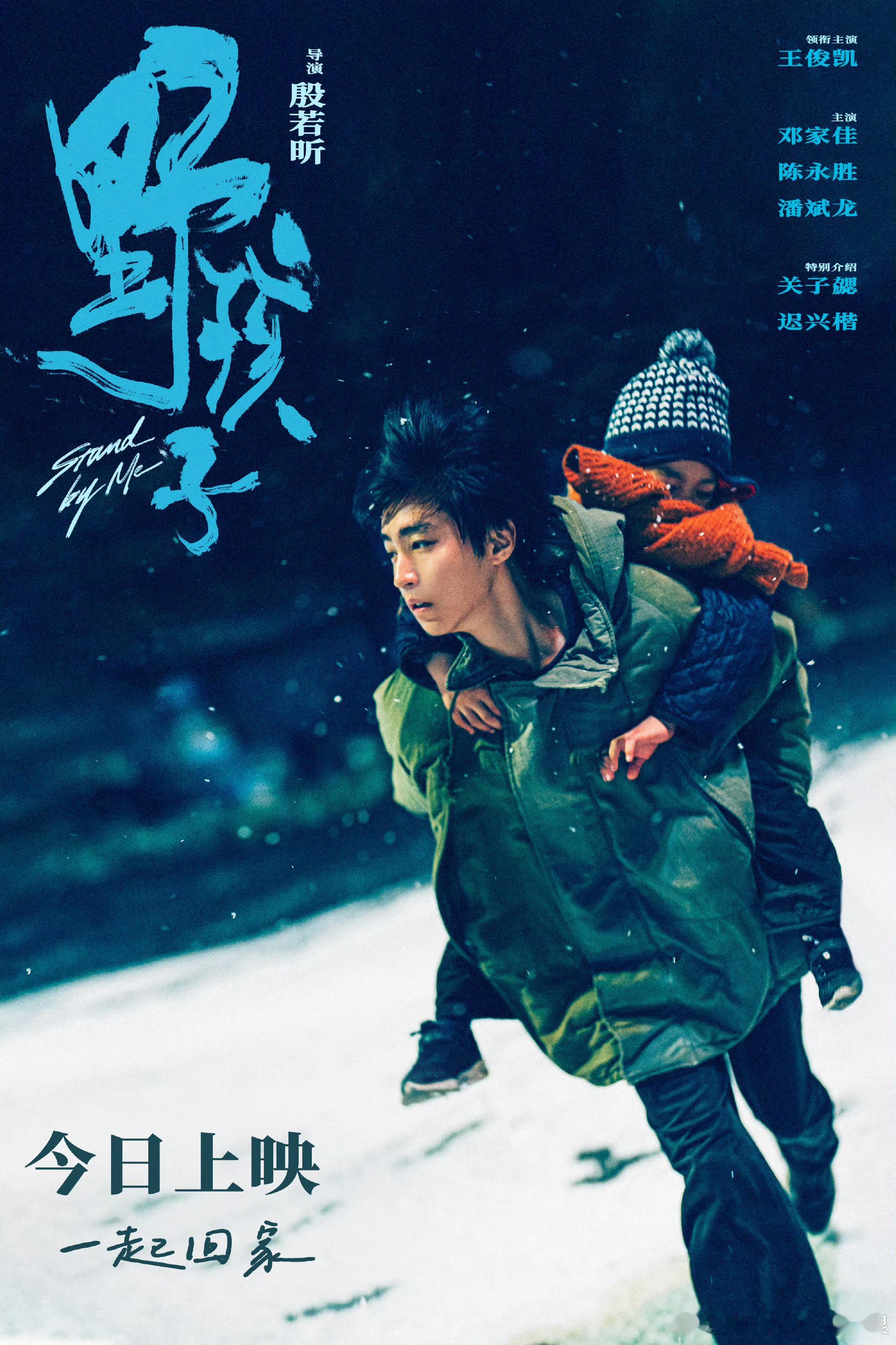 #王俊凯野孩子故事感海报##王俊凯野孩子雪中侧颜海报#王俊凯野孩子雪中侧颜海报，