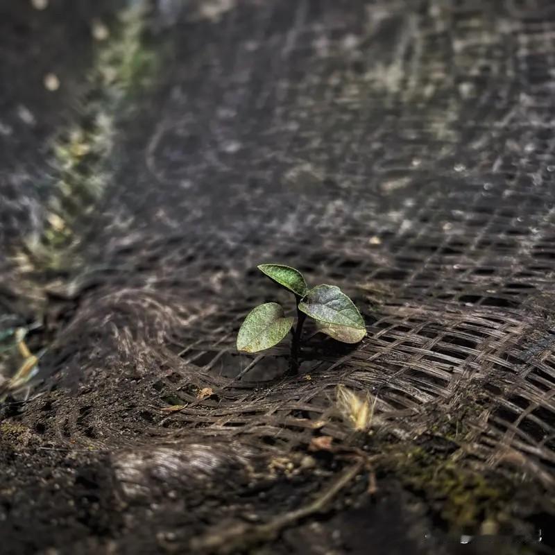 我感觉就是时间和生命，时间对每个人都是一样的，但是，人在同一时间里，做的事却完全