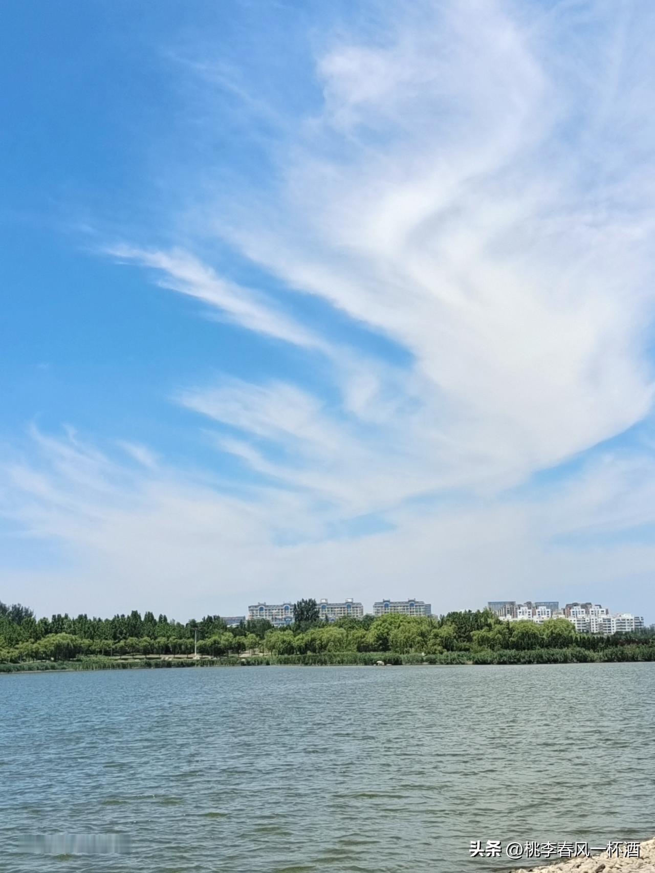 分享一张相册里随手拍的天空看图识东营：黄河三角州的天空澄澈绚丽