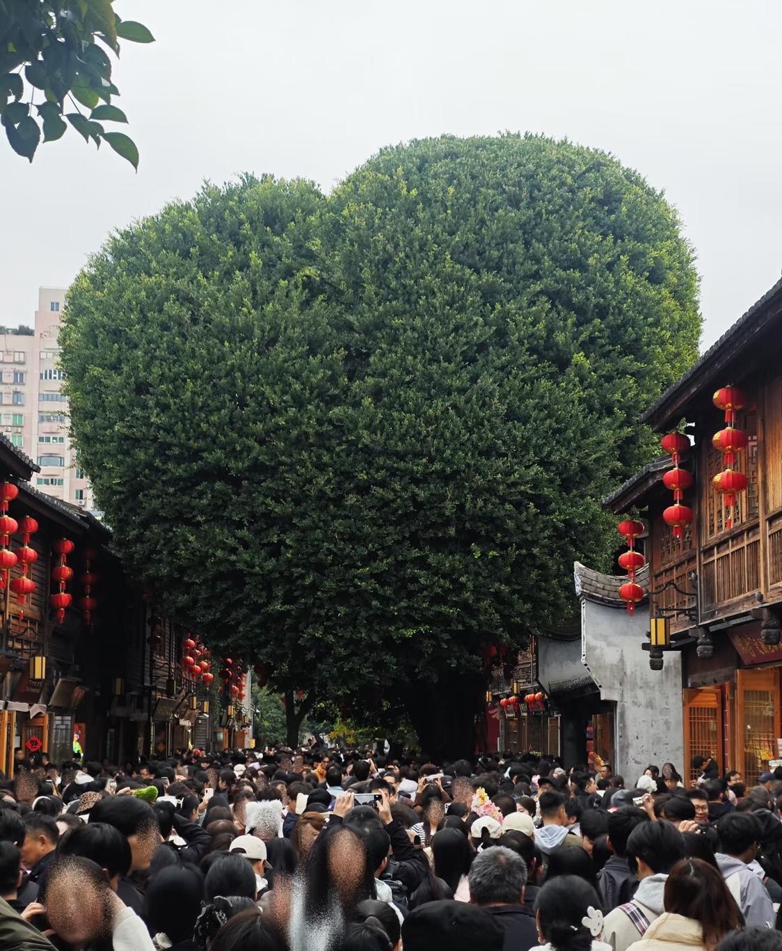 2026元旦假期福建全省接待游客1051.33万人次，游客旅游总花费67.54亿