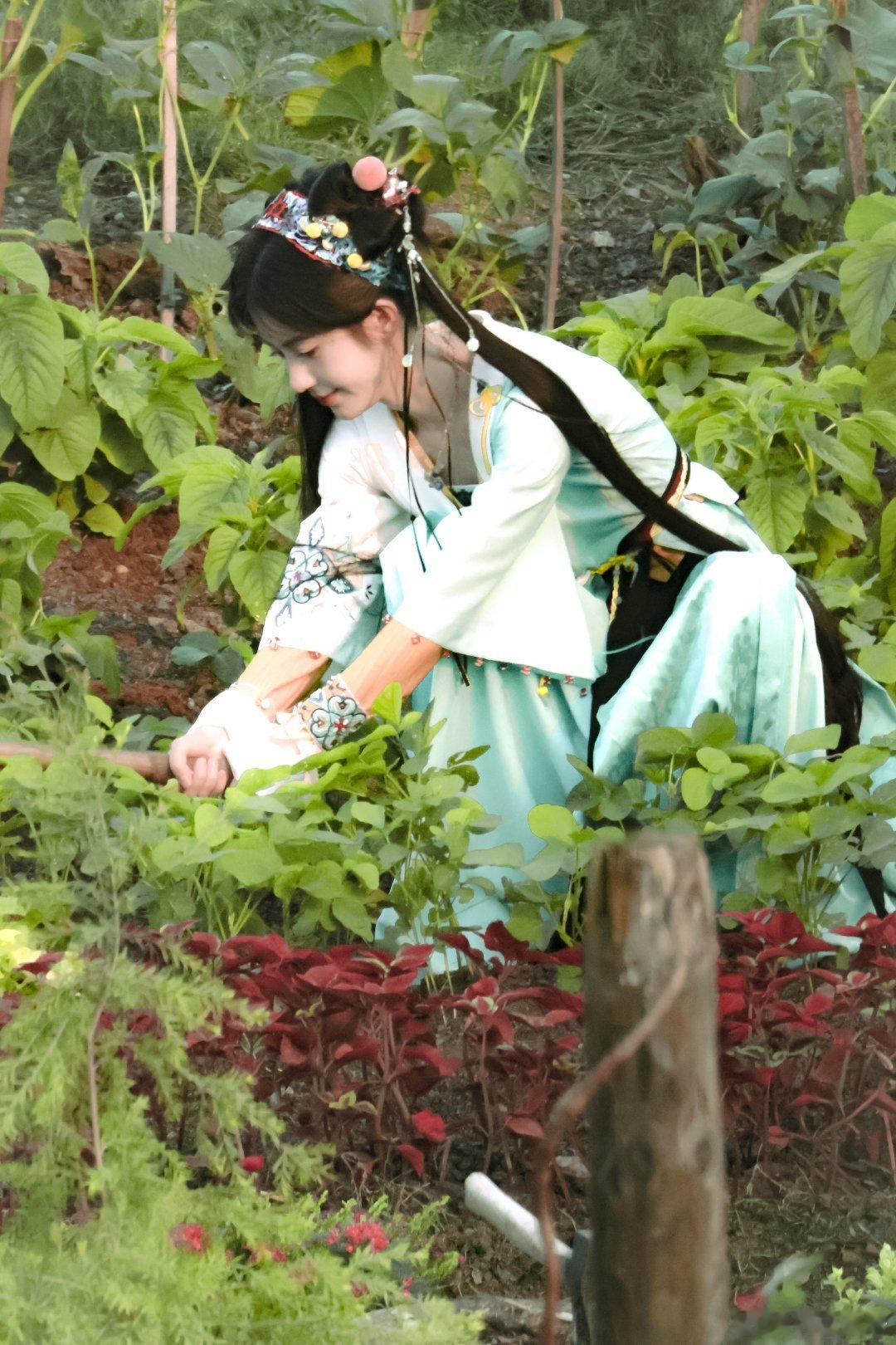 jjy鞠婧祎万花世界 jjy鞠婧祎苏绿夏“和你相遇的日子永远青春闪耀.”“𝐓?