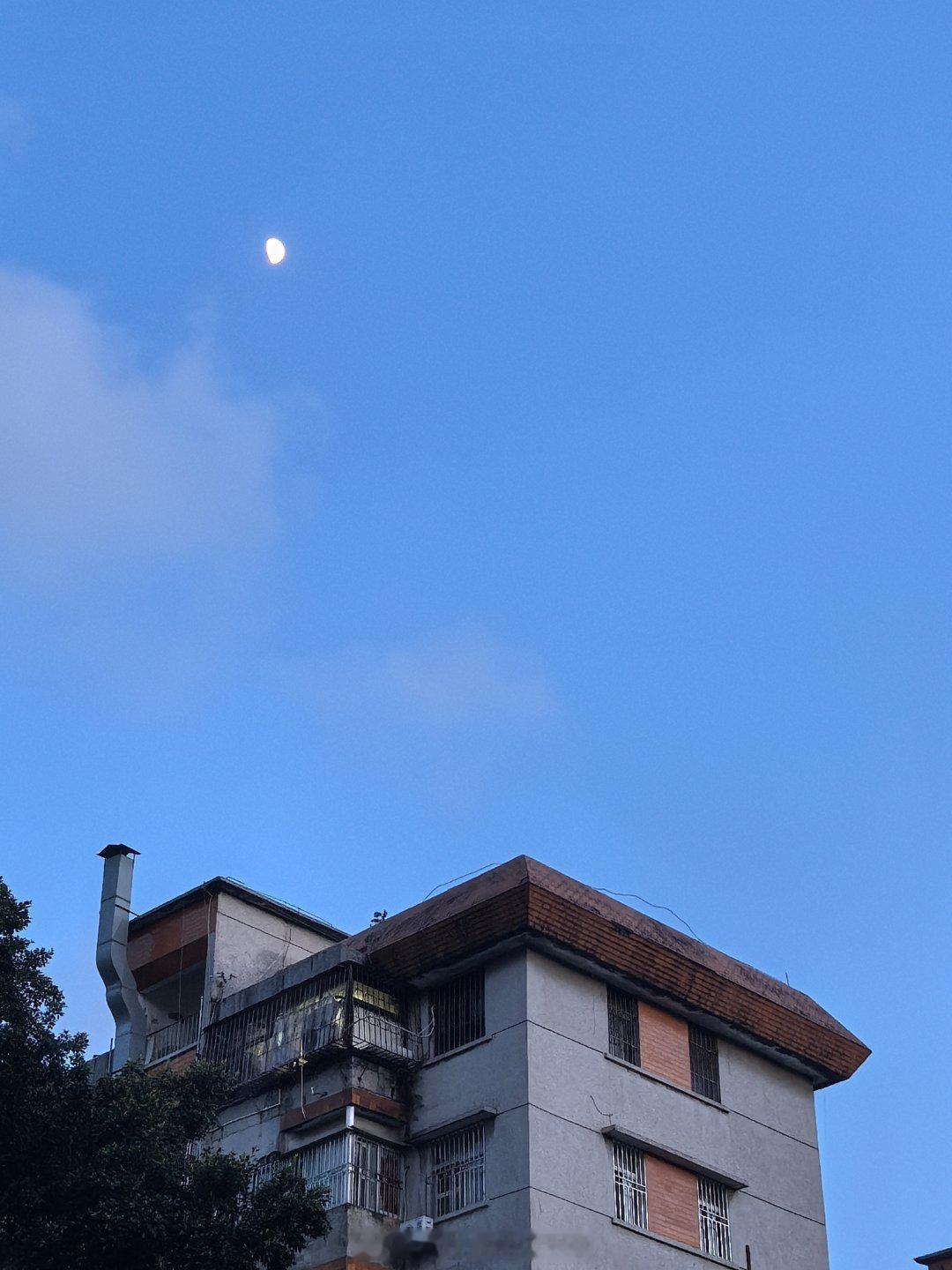 吃完肥姨白切鸡的美好晚上🌃 