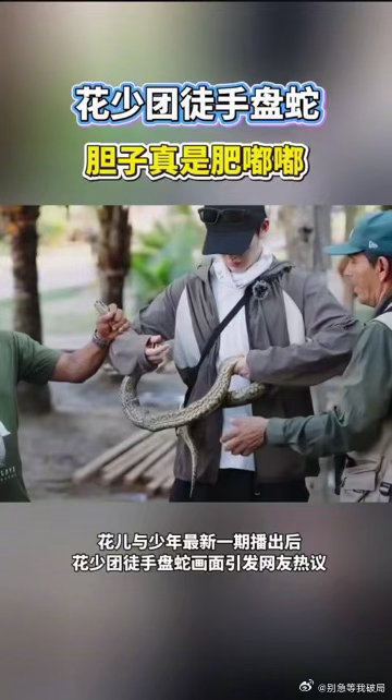 花少团徒手盘蛇胆子真是肥嘟嘟这期花少也太刺激了！邓为淡定上手托住森蚺，王星越吓得