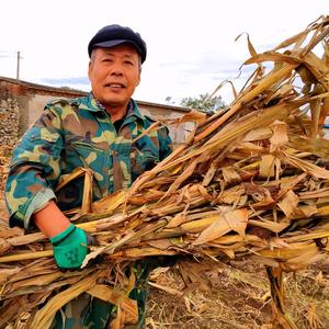 农村大叔记生活