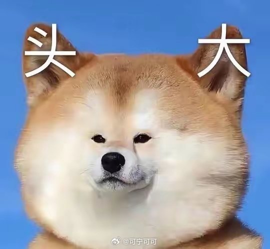 19岁少女柬埔寨失联事件迎反转看得又心酸又揪心！河南19岁女孩远赴柬埔寨失联，起