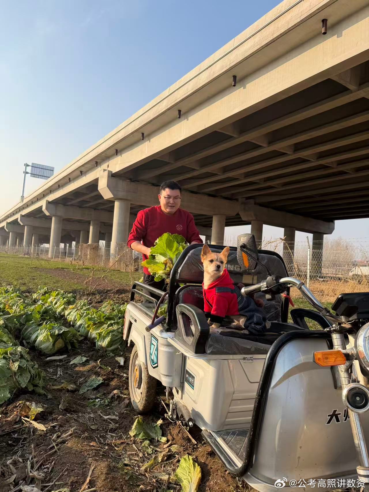 请相信，日日行不怕千万里，常常做不怕千万事，成功从不是一蹴而就，而是在日复一日的