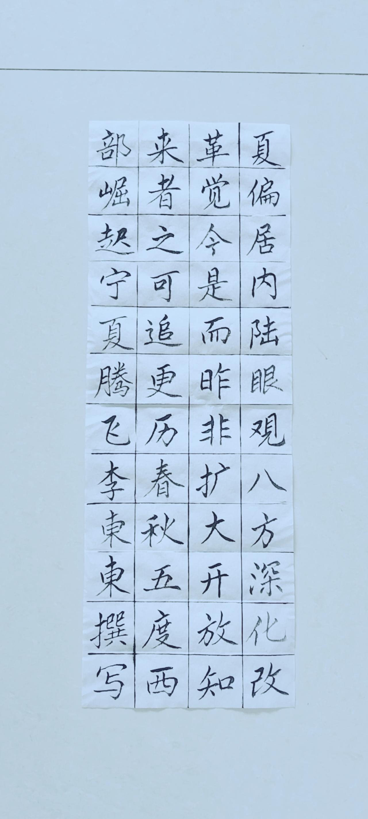 第九十六天《宁夏赋》（19）正楷毛笔练习