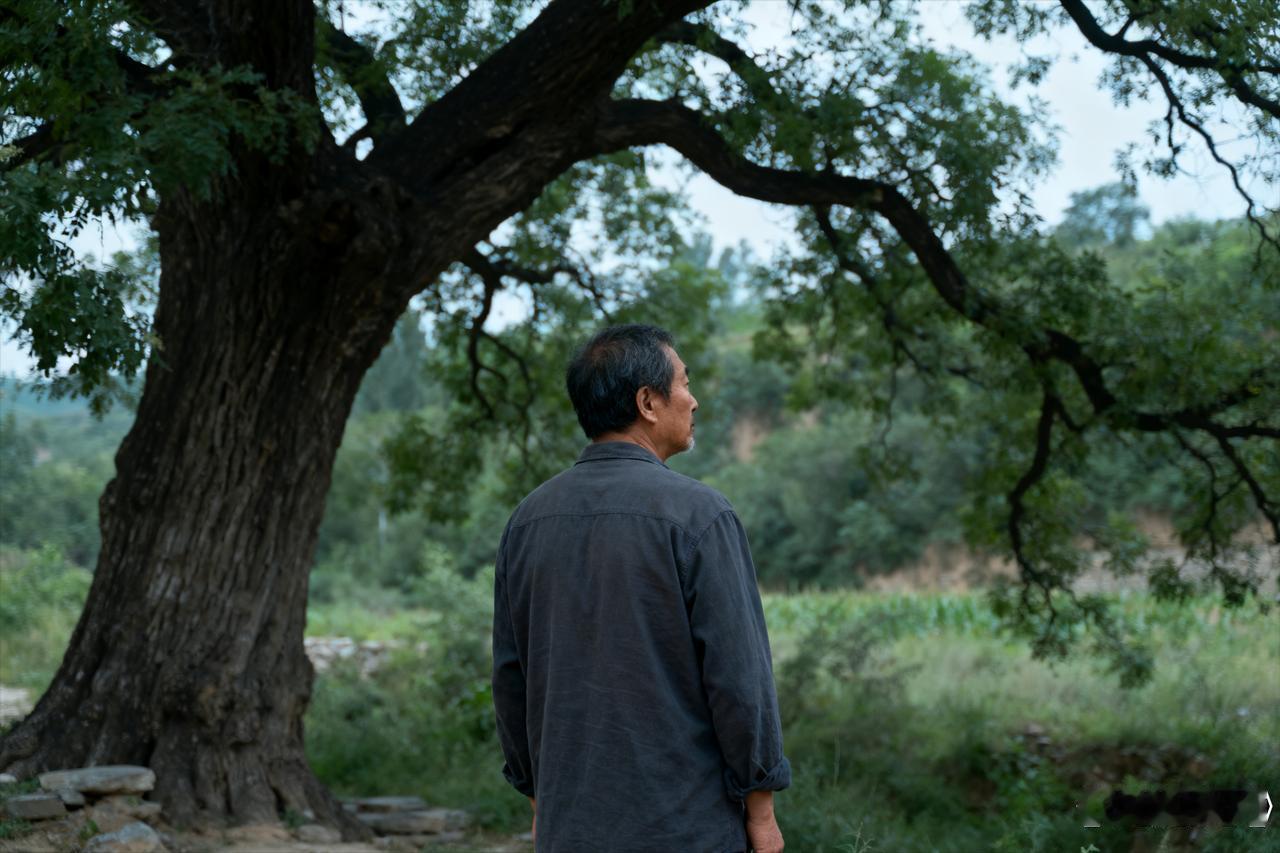 非常通透的一段话：
“不必和坑你的，骂你的，诋毁你的，算计你的人较劲。你要知道，