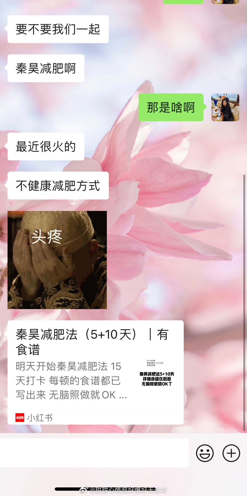 朋友问我要不要一起秦昊减肥法我查了一下 她说不太健康确实 要试试吗 ​​​