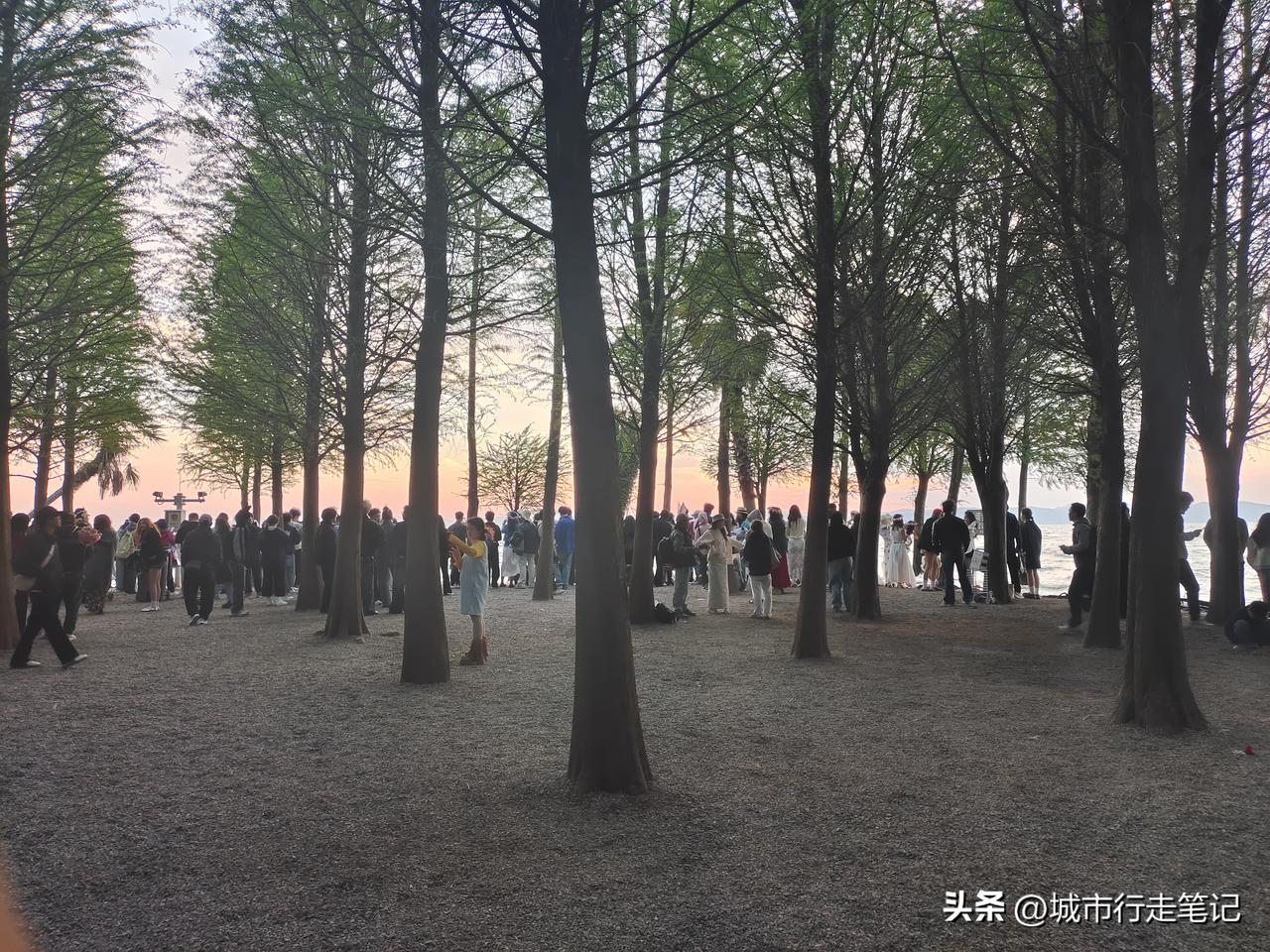 去昆明 网红景点捞渔河湿地公园打卡看日落。人好多，多是年轻人。日落结束时，众人聚