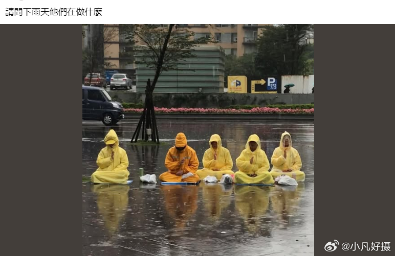 台式“奇葩”日常！岛民发帖：“請問下雨天他們在做什麼？”有人留言：“這不是渡劫就