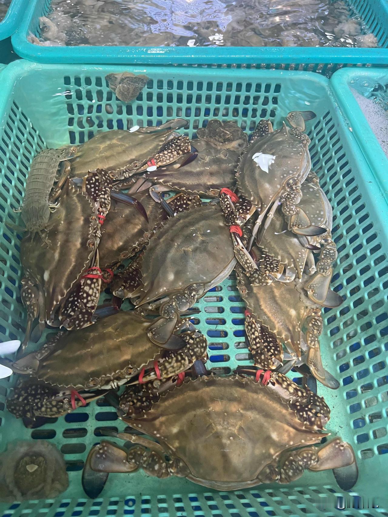 青岛李沧平台公司，金水控股集团近期有重要变化。

胡珂静卸任金水控股集团董事长、