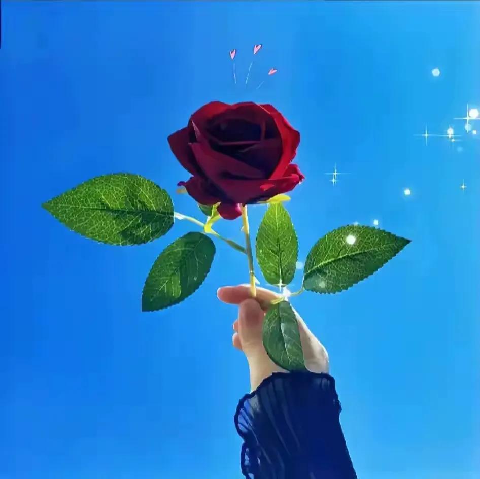 早上读了王芸的短篇小说《礼物》，该作品中主人公是一个即将完成博士学业的知识分子，