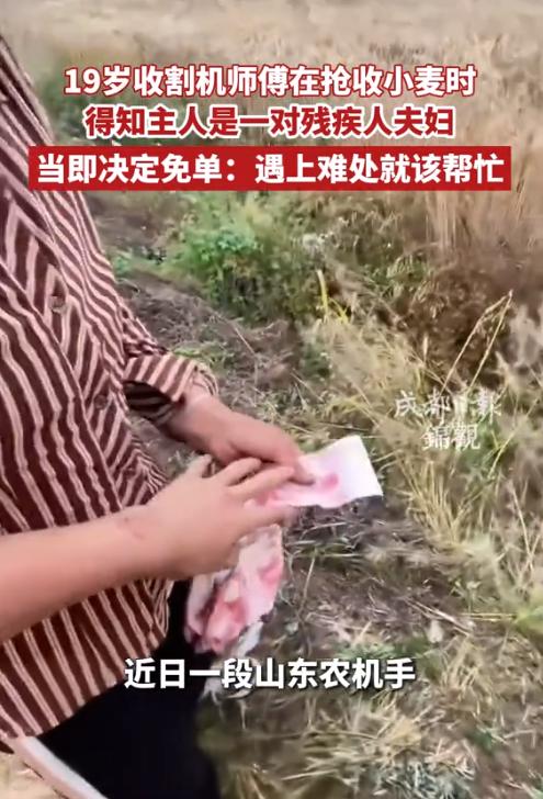 麦浪藏温柔，少年暖人心！

毒辣的太阳悬在头顶，把整片田野晒得发烫，一望无际的麦
