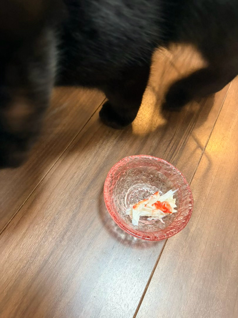 旗旗家今天的饭帝王蟹打折 给猫吃猫闻两下就走，你小子是真不会享福 
