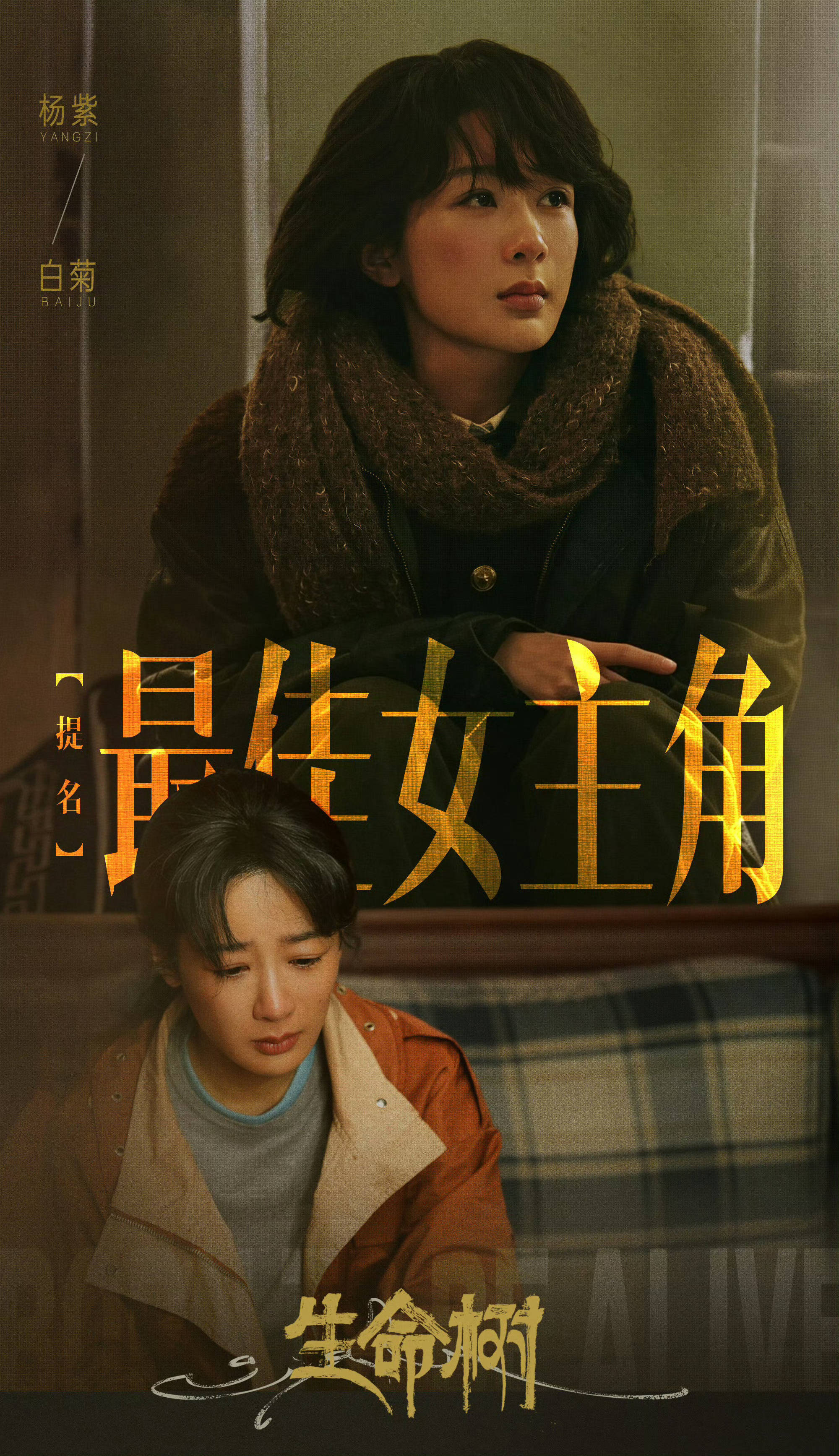 杨紫获白玉兰奖最佳女主角 她是不是第一个拿这个奖的90花 