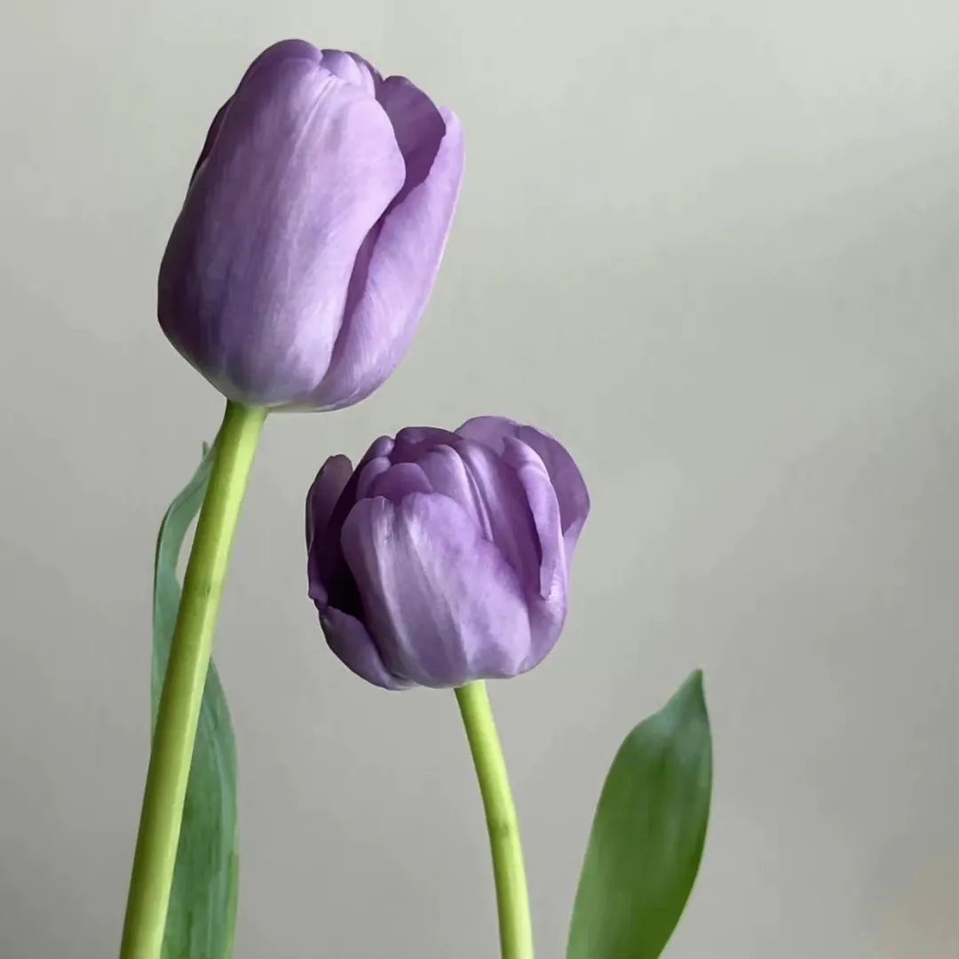 💜²⁰²³/₁₀.₀₆ᵕ̈𝑀𝑜𝓇𝓃𝒾𝓃𝑔我试过了到目前为止我大部