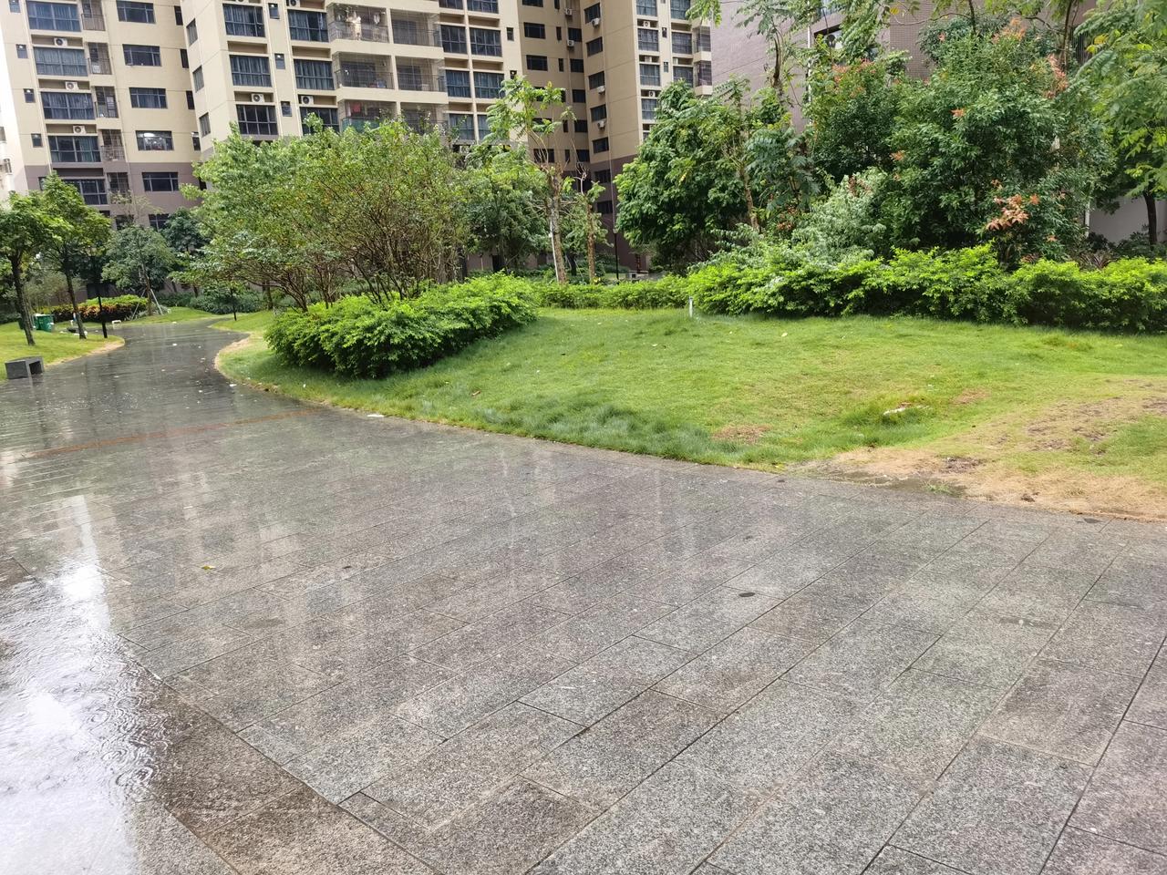  一场秋雨一场寒！今天一整天都是下毛毛雨，天气好冷了。家里客厅北向，每到秋冬季节