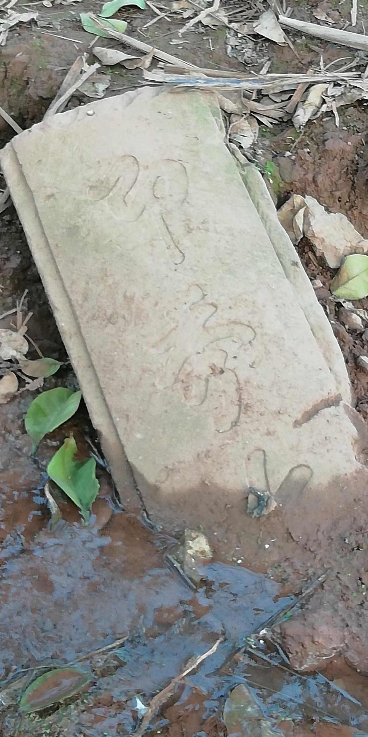 12月29日   公开日志
    
古溪镇 金竹城2025年闹鼠患。
天刚启明